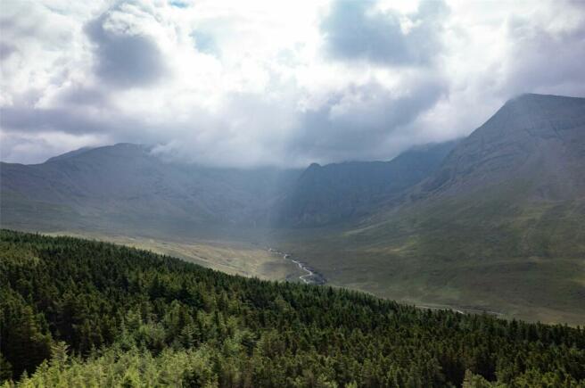 Loch Moineach Forest