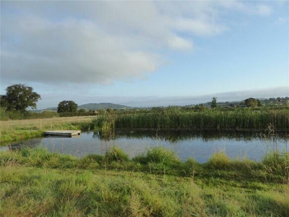 Meadow & Pond