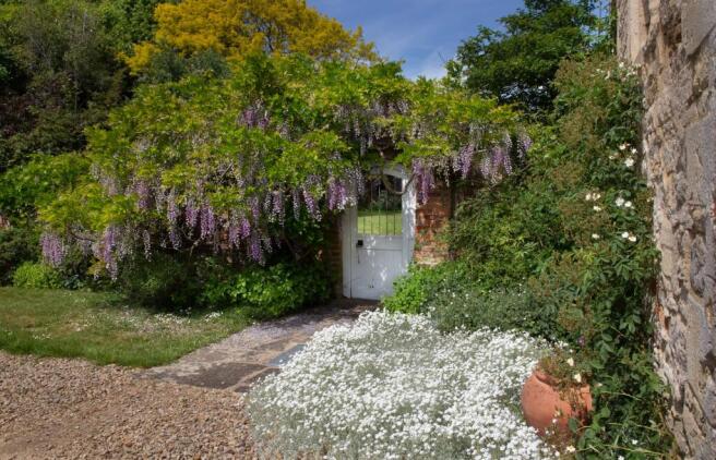 Wisteria Door