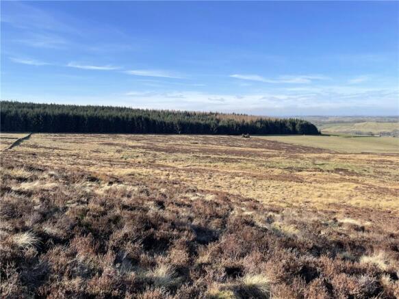 Land (Lot 2)
