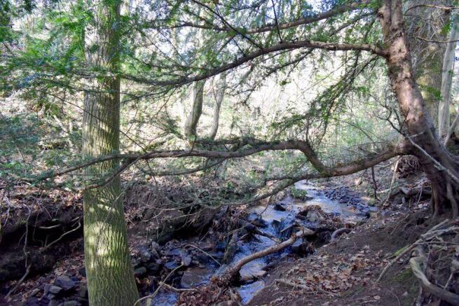 Stream