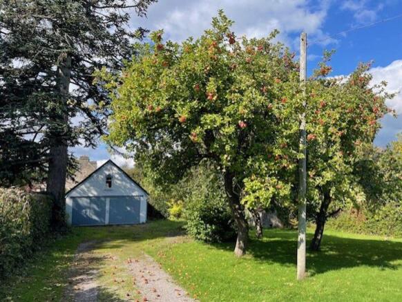 Garden and garage