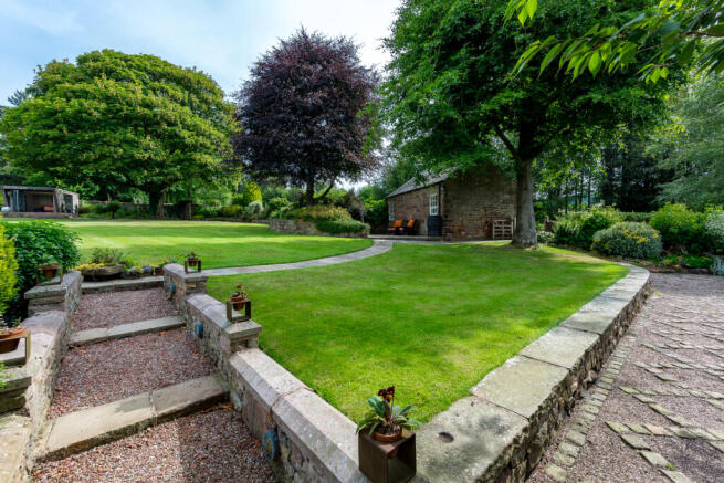 Rear Gardens