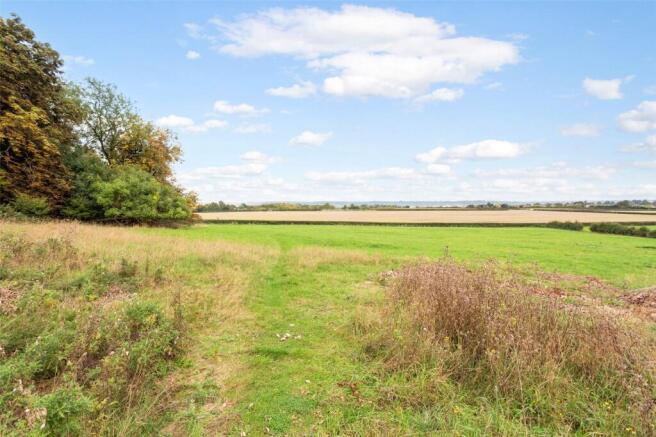 Field