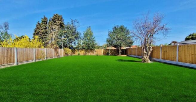 Thorpe Road Garden 1.jpg
