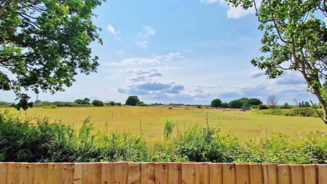 Alternate Rear Views