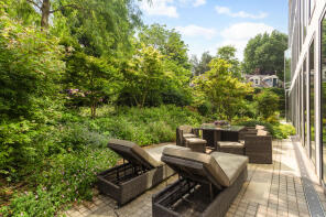 Patio Garden