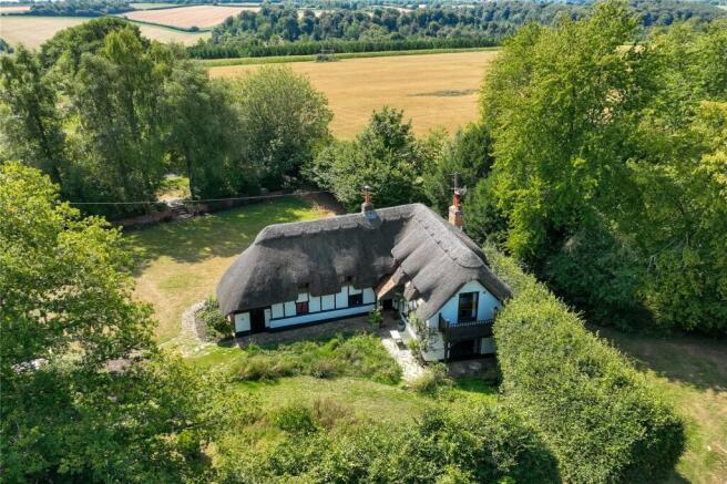 Thatch