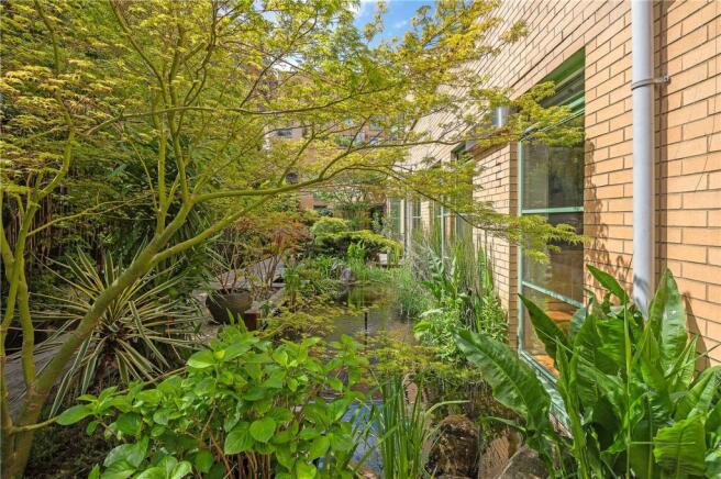 Water Garden