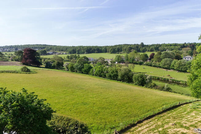 Surrounding Field...