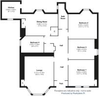 69 Finnart Street_fp.jpg