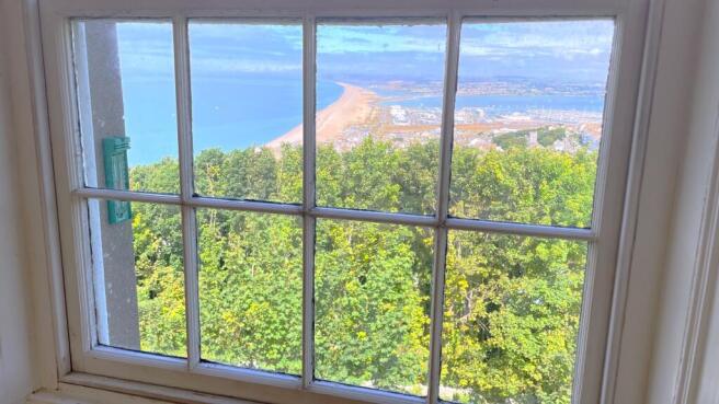 View from Living Room