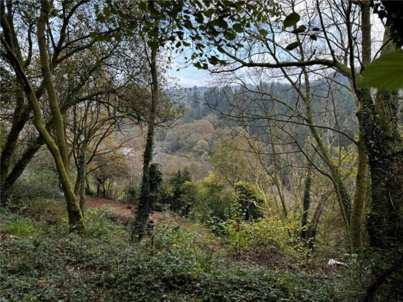 View From Land