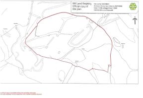 Floor/Site plan 1