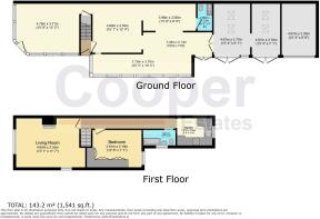 Floor/Site plan 1