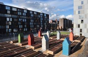 Allotments