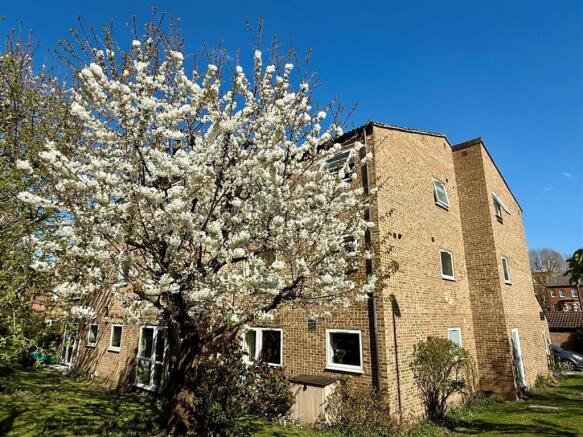 6 Roseland ext Mike.jpg