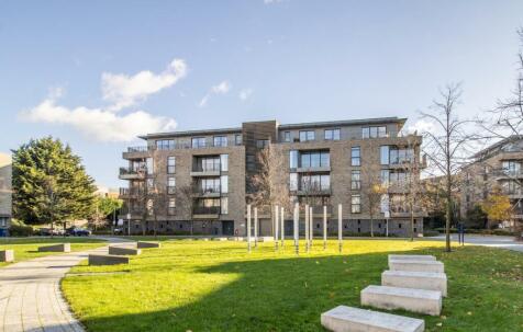 Lilywhite Drive, Cambridge