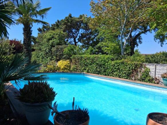THE POOL