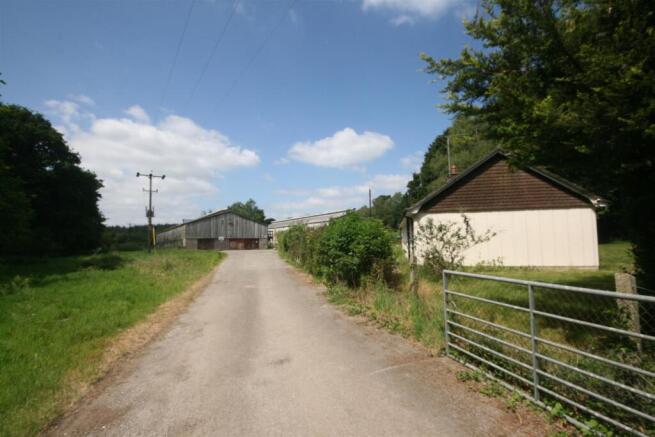 Yearlings Farm