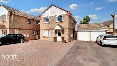 Marigolds, Deeping St James