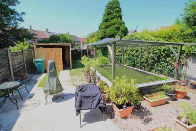 backgarden.JPG