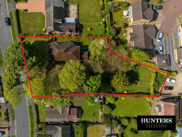 Untitled design (20).jpg