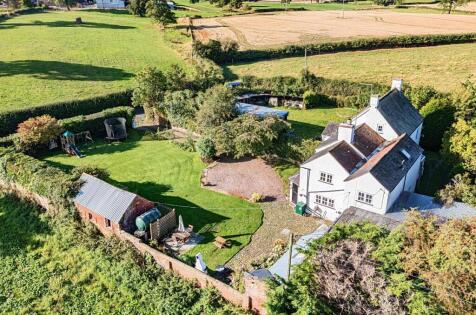 Edgeley Bank, Brown Moss.