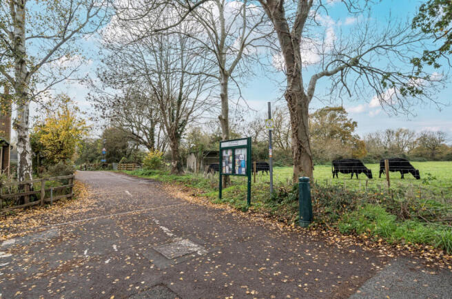 Meadows & Cycle Path
