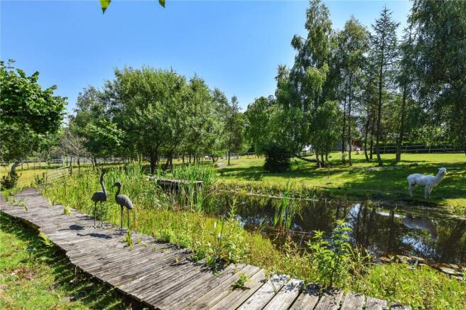 Pond