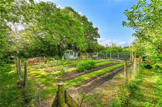 Vegetable Patch