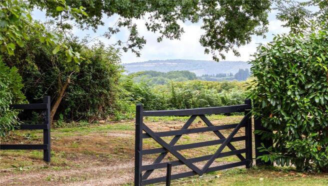 View To The Downs
