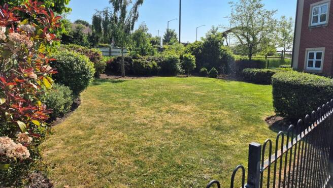 Garden.jpg