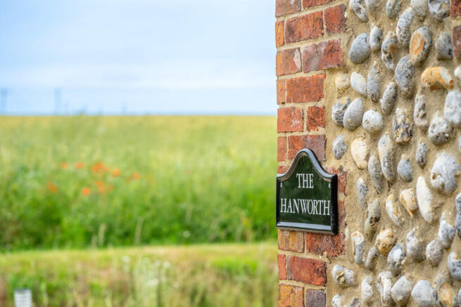 SAP_Roughtonn_Han...