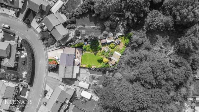 DJI_0500.jpg