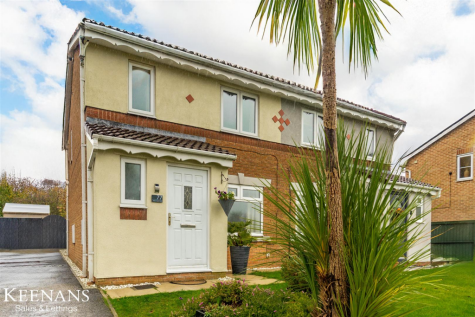 Delphinium Way, Darwen