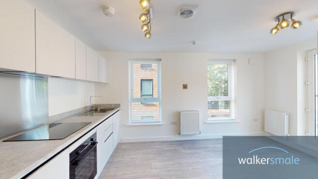 35-Copper-Beech-10052023_151624