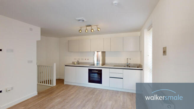 35-Copper-Beech-10052023_151415