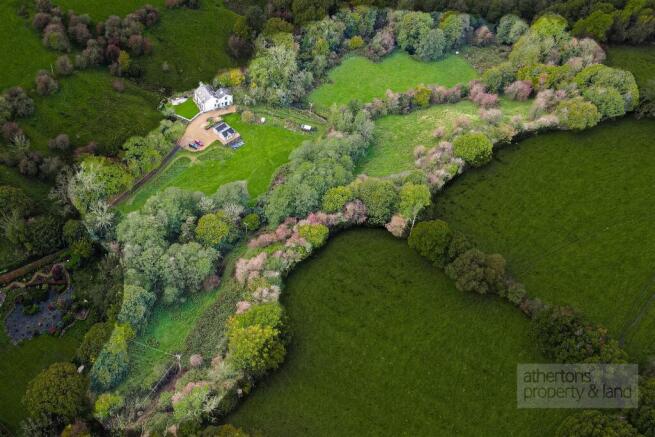 DJI_0313.jpg