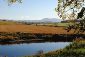 Clyde court thankerton sale