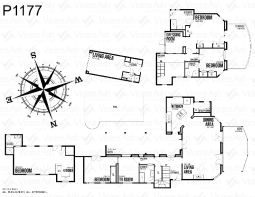 P1177 PLANO
