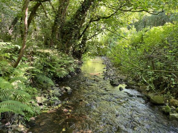 Umborne Brook