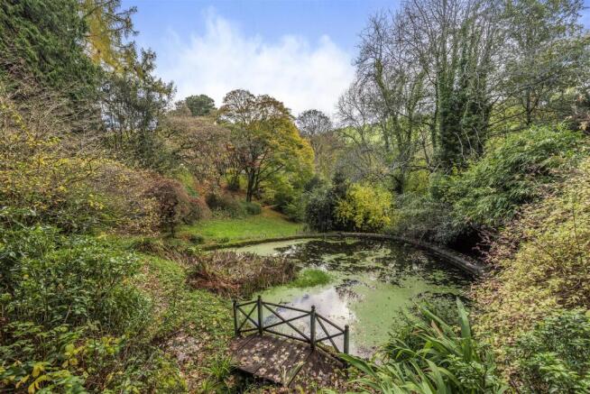 Pond