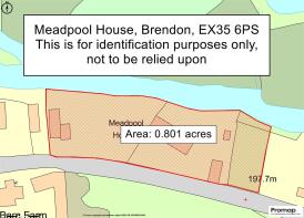 Promap-3073773-3171899-750-0.jpg