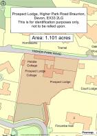 Promap-3164627-3261614-750-0.jpg