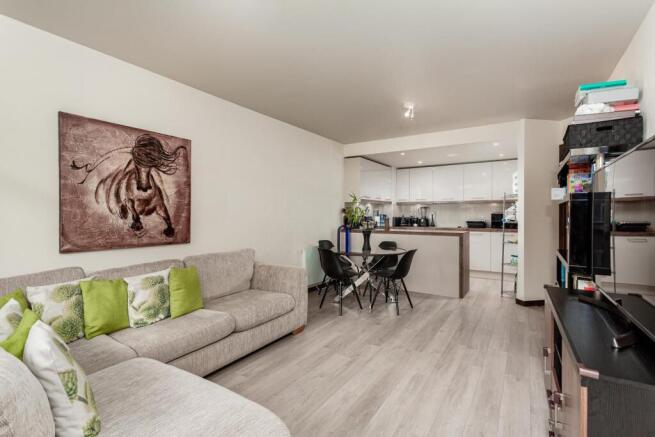 Living Room Shot 2