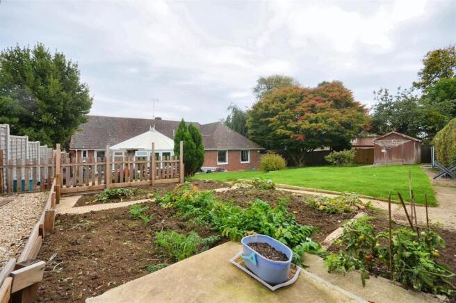 Vegetable Patch