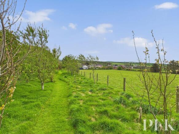 Paddocks & Woodland