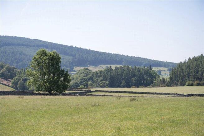 Stunning Country
