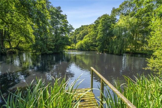 Pond Jetty